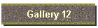 Gallery 12