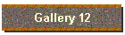 Gallery 12