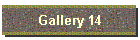 Gallery 14