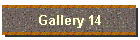 Gallery 14