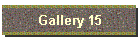 Gallery 15