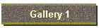 Gallery 1