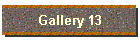 Gallery 13