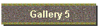 Gallery 5