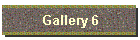 Gallery 6