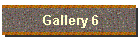 Gallery 6