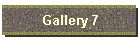 Gallery 7