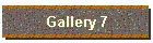 Gallery 7